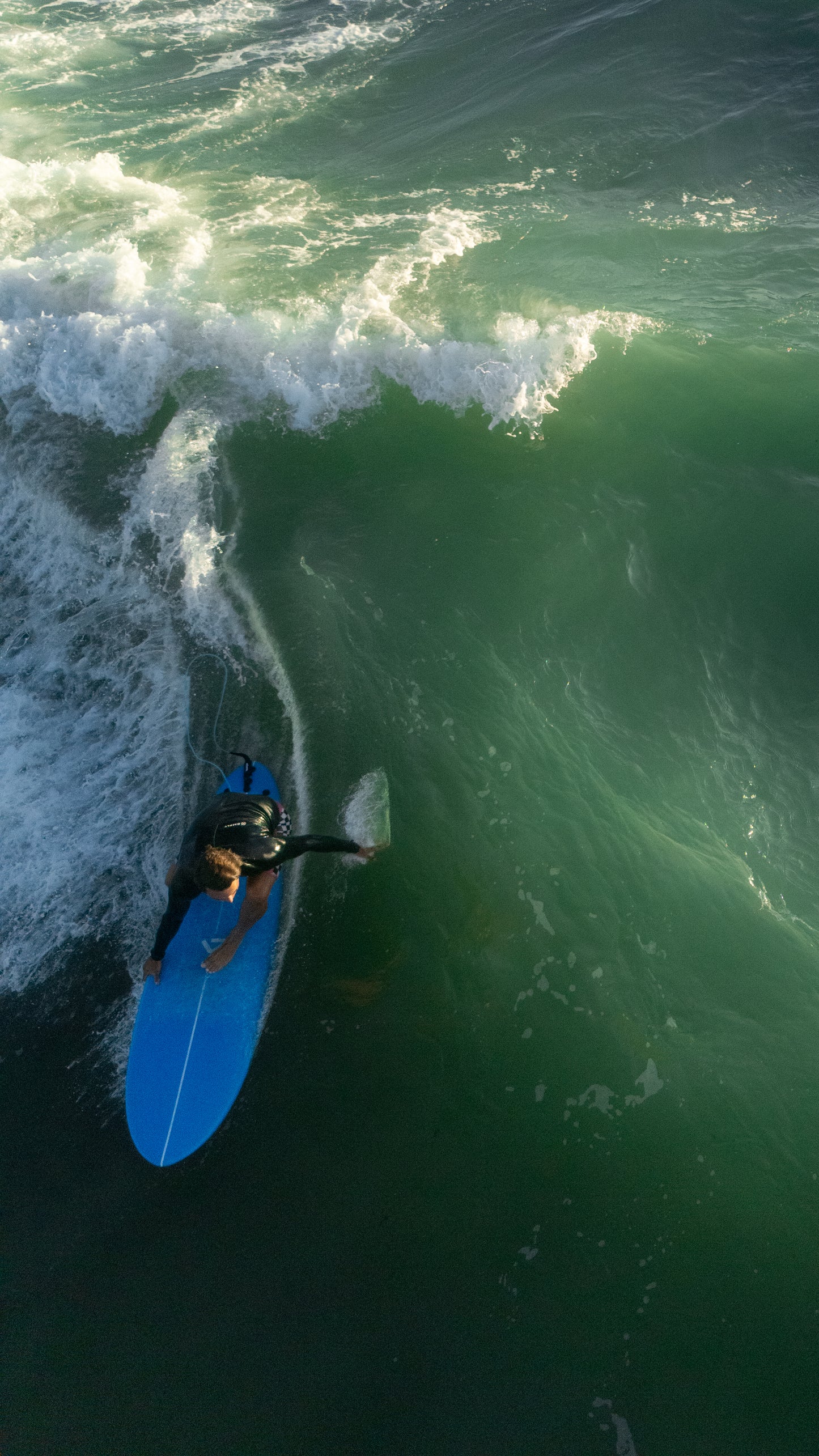 Tabla de Surf SoftBoard: Shark 2.0