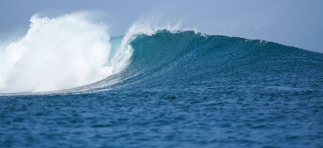 Cómo leer un forecast de surf