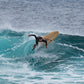 Tabla de Surf de Epoxi y madera - Octopus - 5'10 x 20" x 2,5" - 33.7L